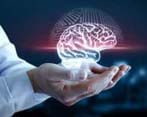 Neurólogo Cris-unitat De Terapeutica Hiperbarica S.l.